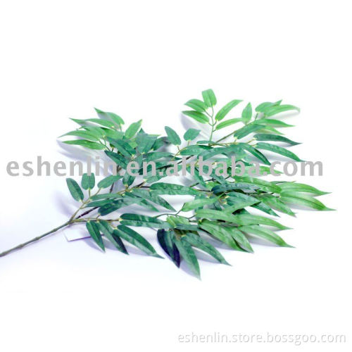 bamboo branch